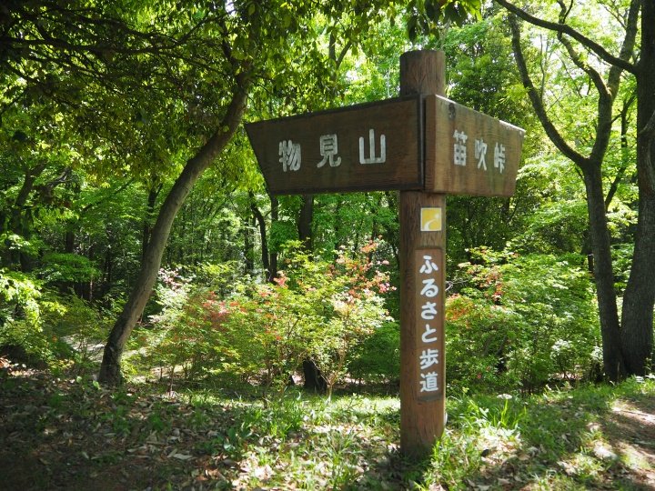 物見山公園