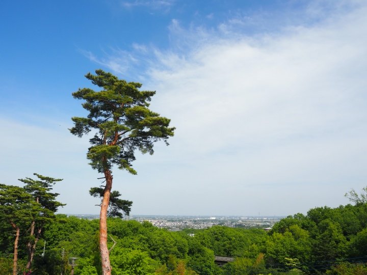 物見山公園